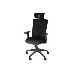 Ergonomic Chair Genesis ASTAT200